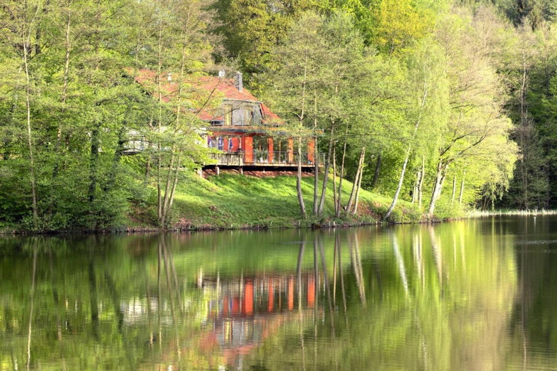 Ferienwohnungen & Campingfaesser Am Kunstteich Wettelrode Bilik gambar